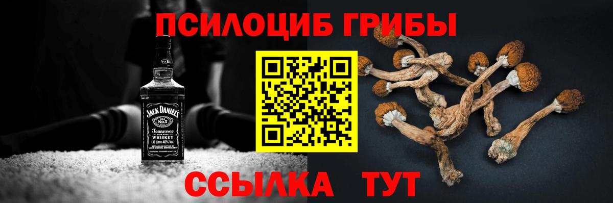 как найти   Вход с VPN  Орск  Псилоцибиновые грибы прущие грибы 